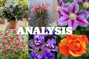Analysis